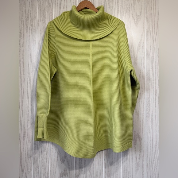 Cyrus Size 1X GreenWinter Ribbed Knit Sweater Long Tunic Big Neck EUC - Picture 1 of 3